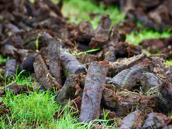 Turf,Stack