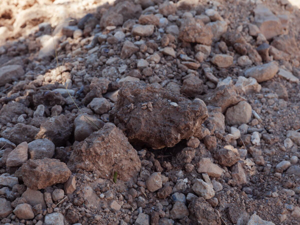 Close up,Of,Stony,Soil.,Ground,Texture,Stone,And,Earth.